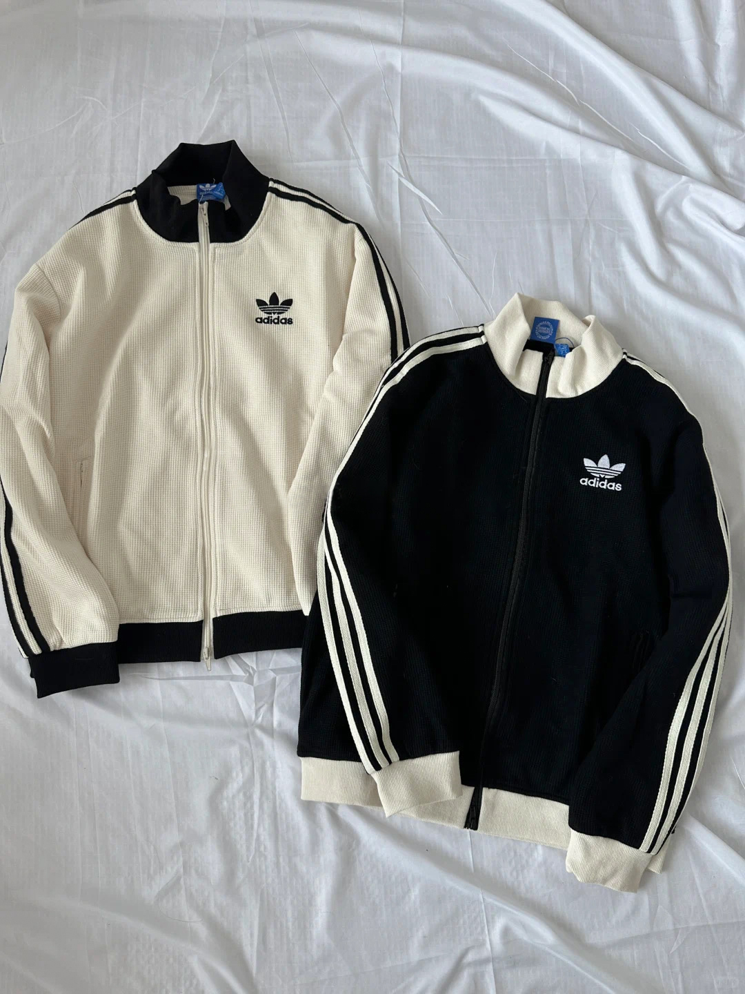 ADIDAS WAFFLE BBTT 華夫格 奶油黑 JW0109 黑奶油 JW0110 米色 拉鍊外套 立領 針織 / 現+調