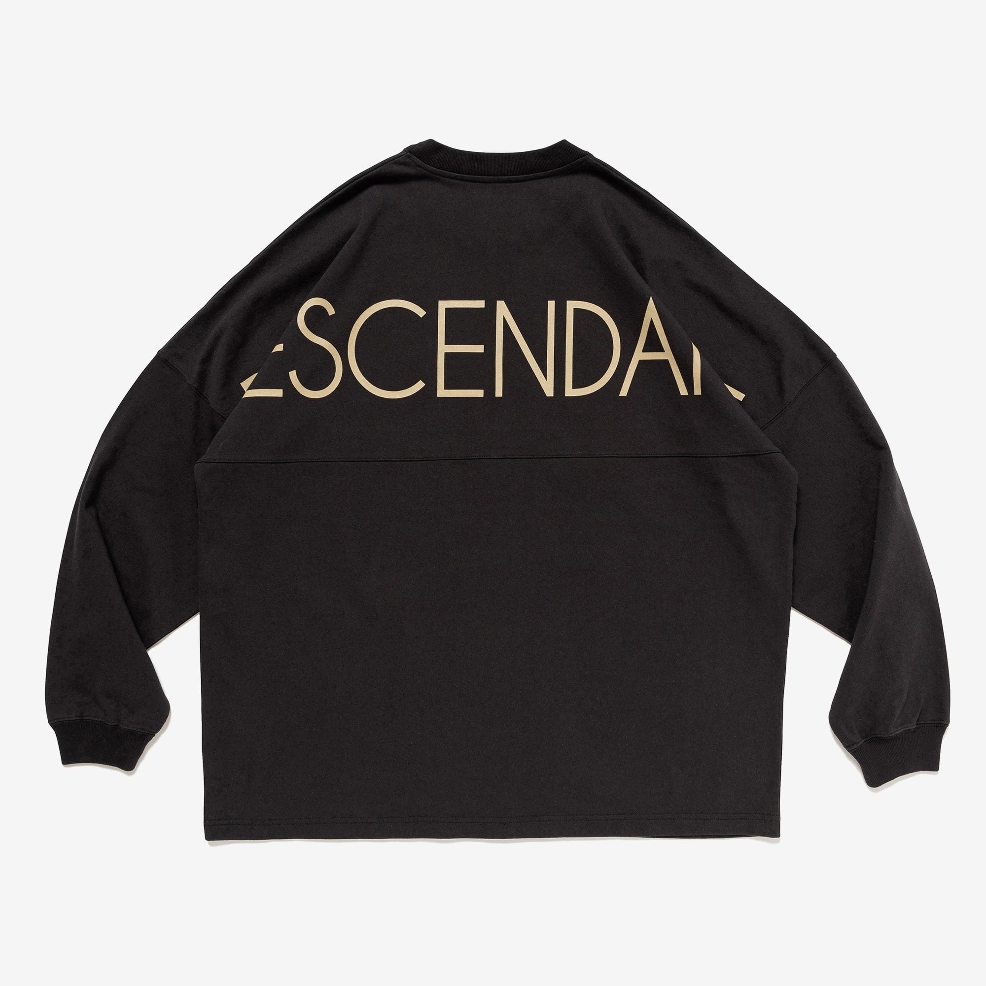 2024AW DESCENDANT CETUS JERSEY LS 背後 LOGO 長T 現貨