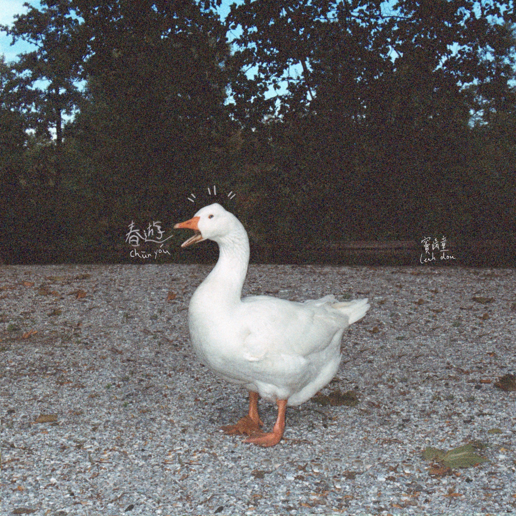 竇靖童 Leah Dou - 春遊 CD (簡體字版)
