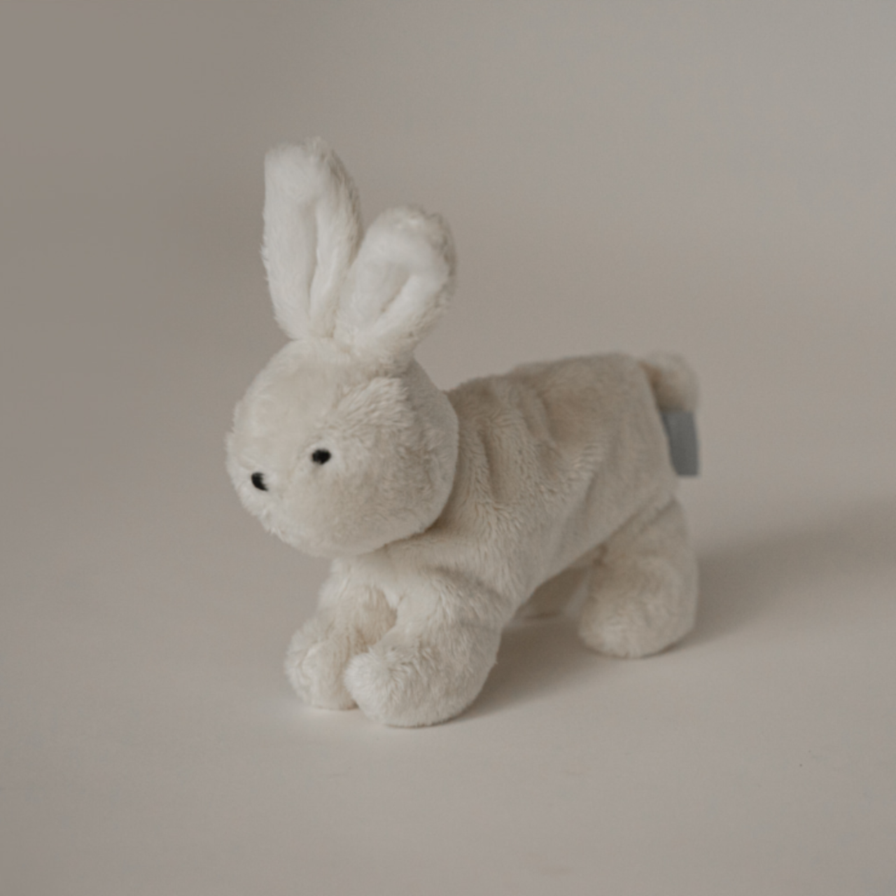 Ours lippu Buddy Bunny小兔