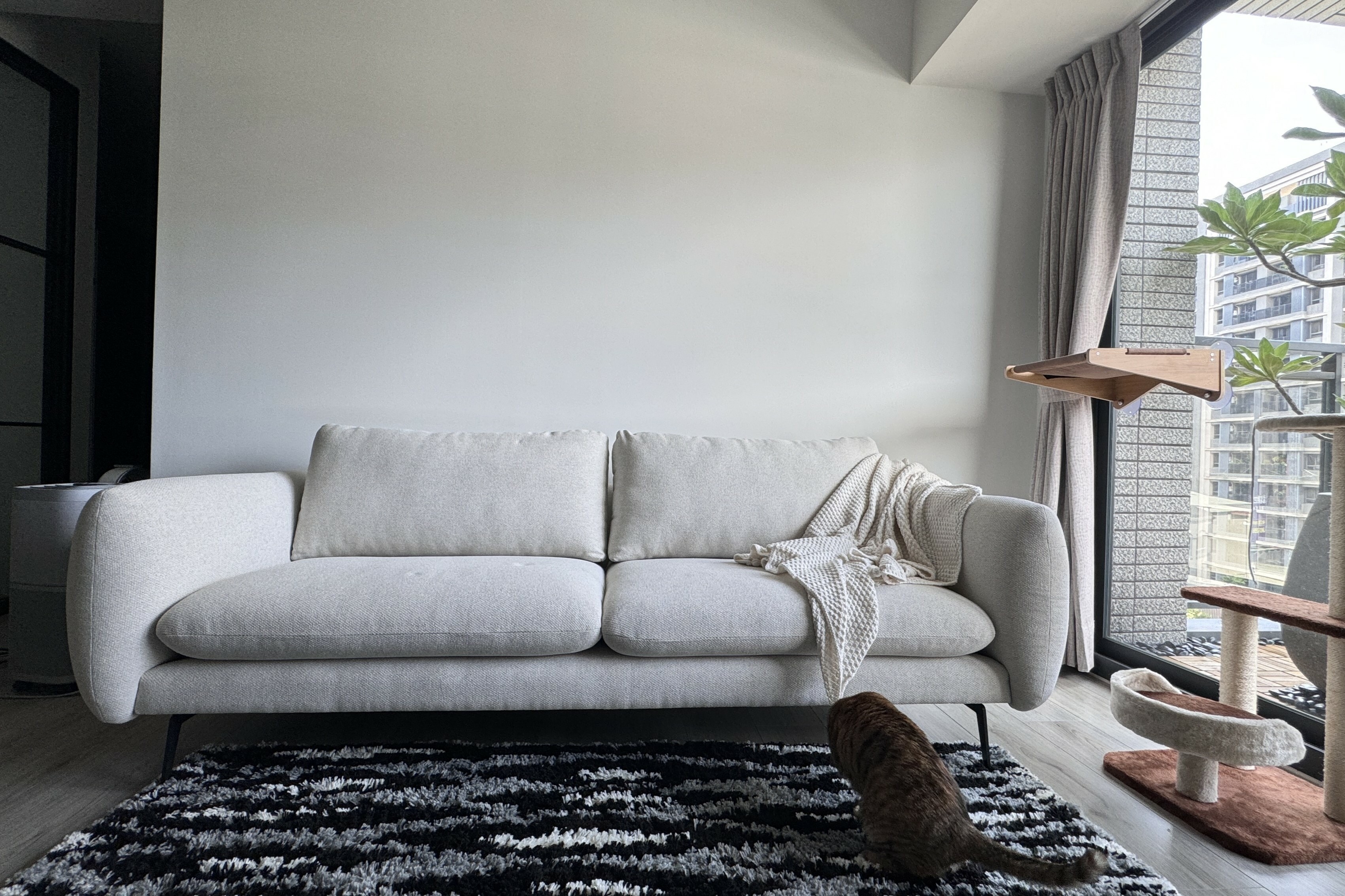 Little Joys 和煦暖陽