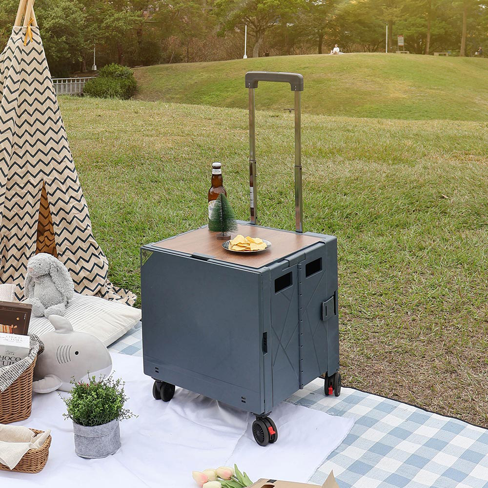 LIGFE 德仕卡購物車