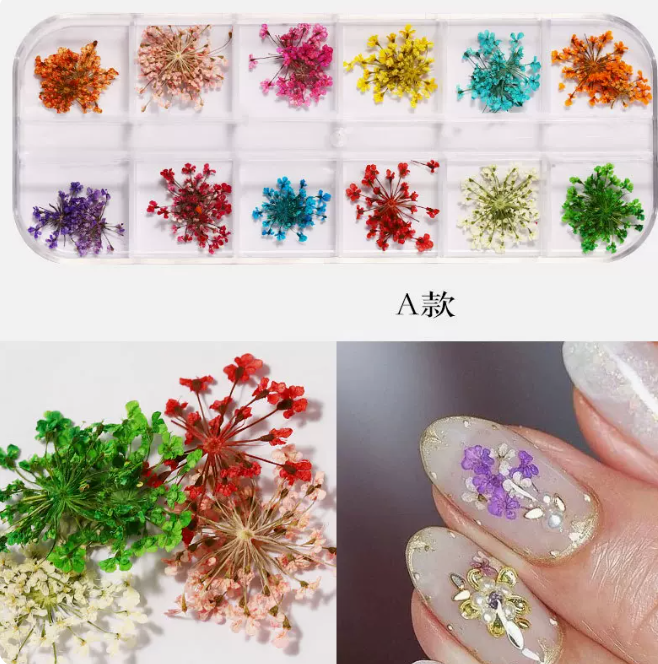 Hot Recommended Nail Art Accessories Dried Flowers Type A (12 Boxes)
