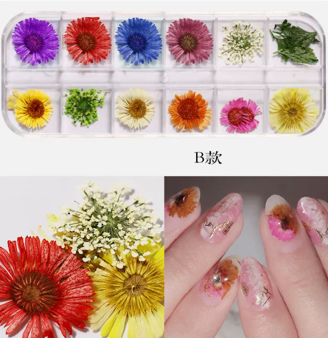 Hot Recommended Nail Art Accessories Dried Flowers Type B (12-Gate Box)