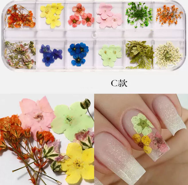 Hot Recommended Nail Art Accessories Dried Flowers Type C (12-Gate Box)