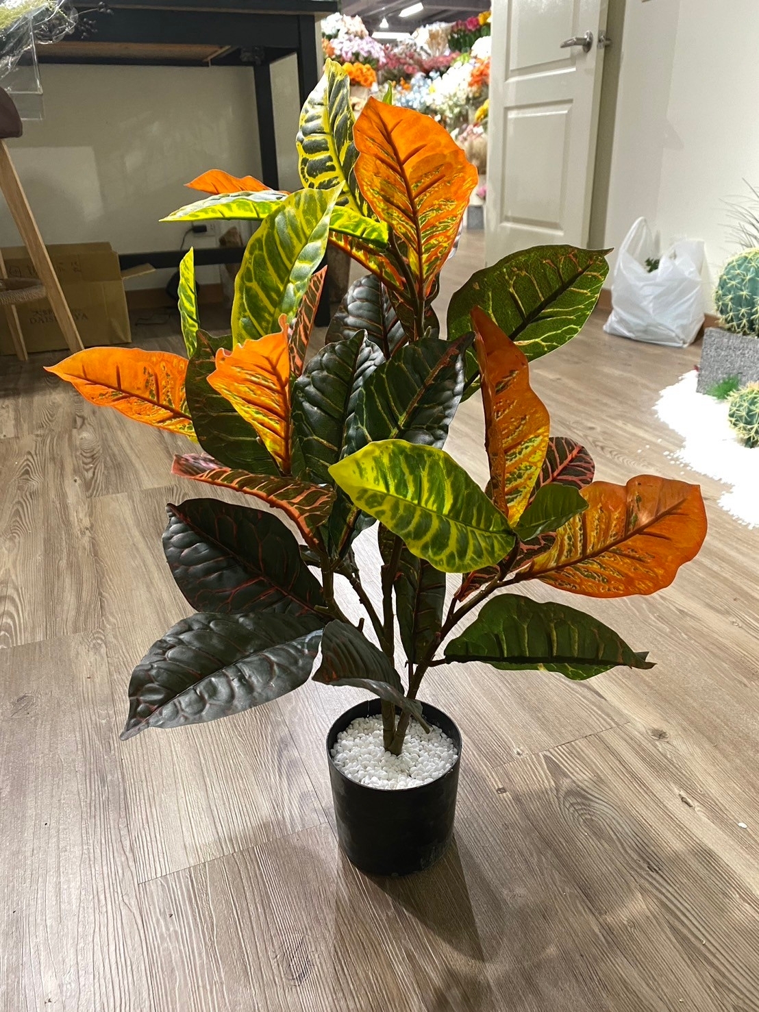 仿真灑金榕盆栽(變木葉)