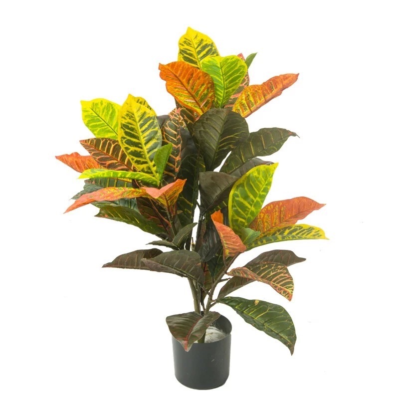 仿真灑金榕盆栽(變木葉)