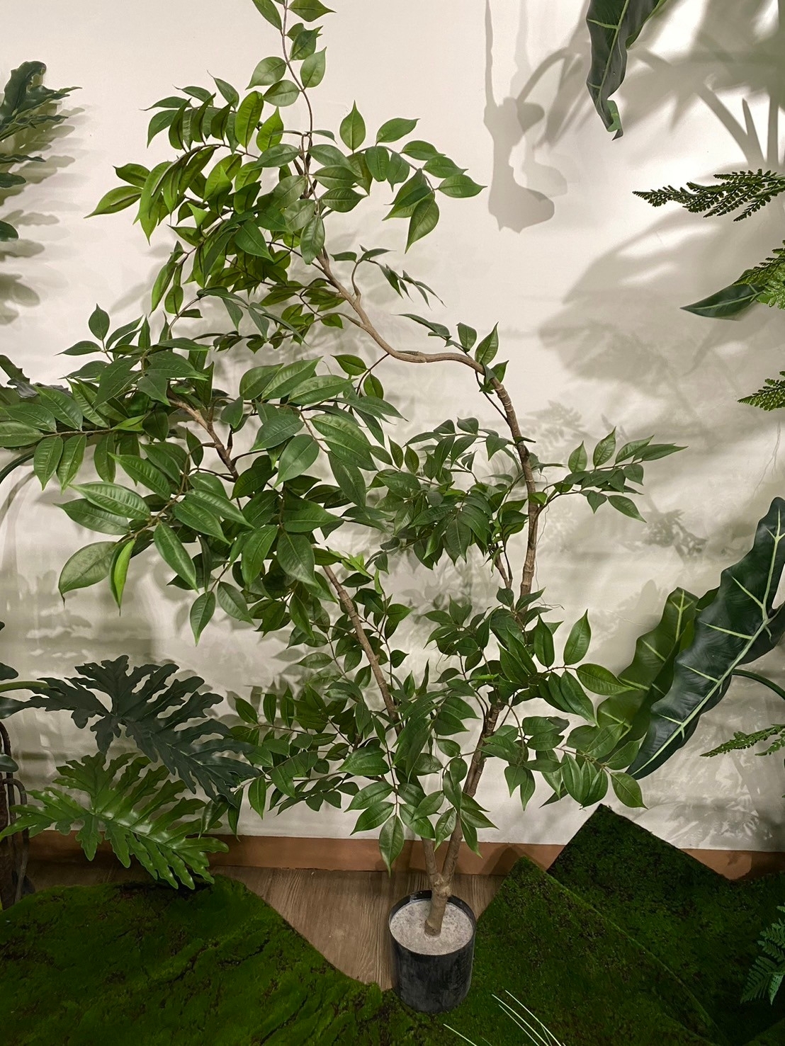 仿真漆木樹盆栽