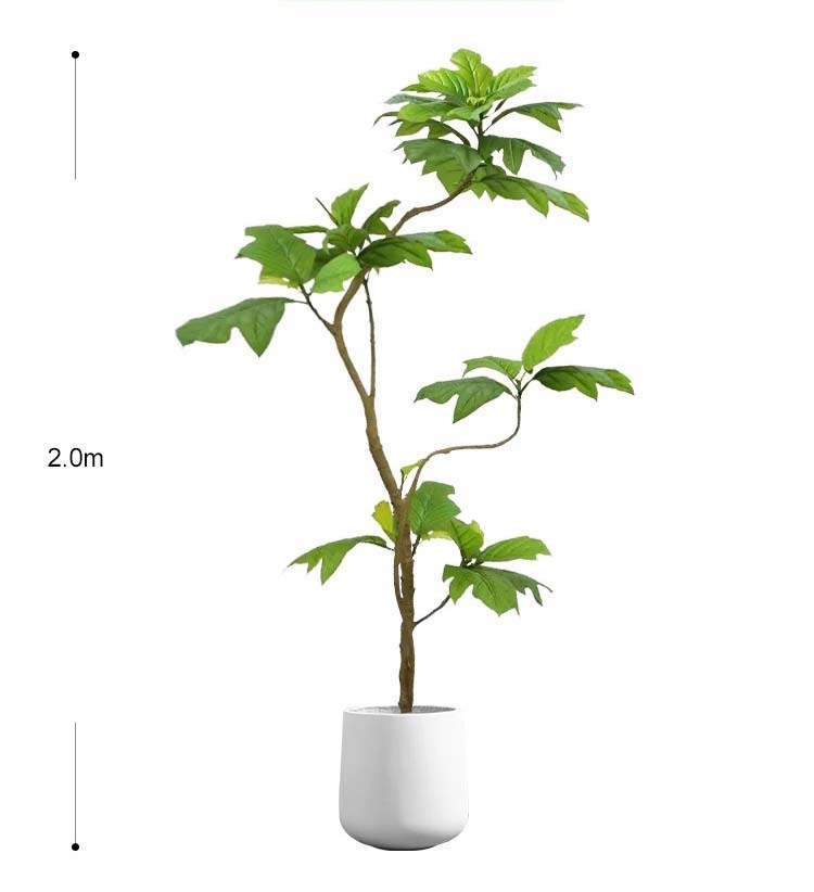 仿真麵包樹盆栽