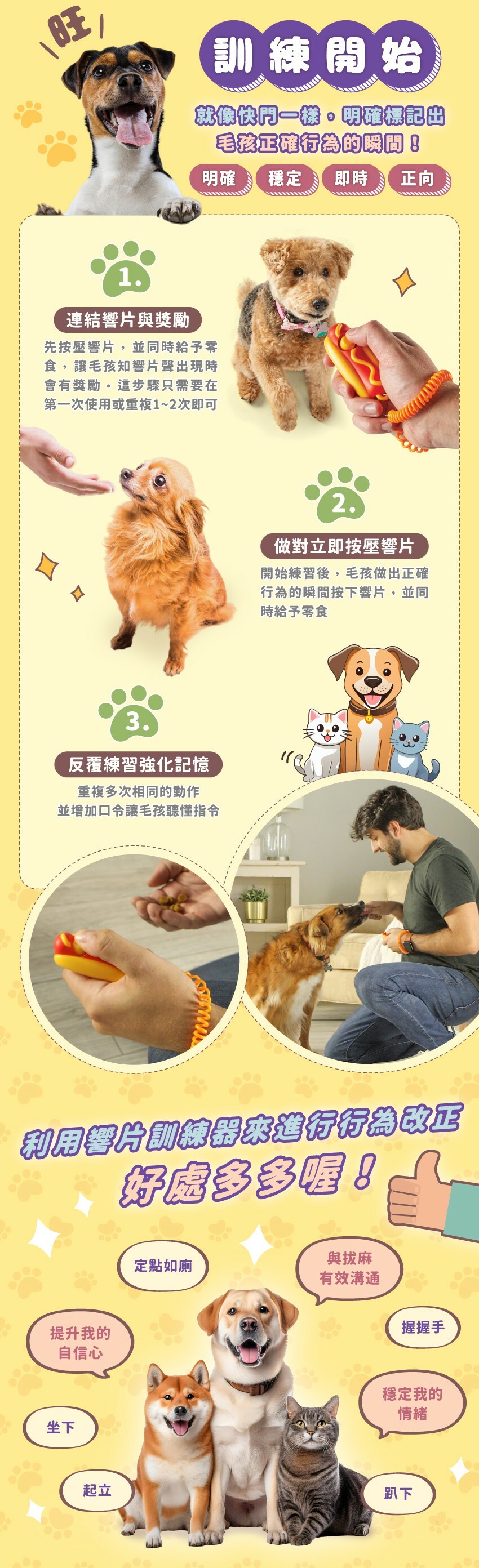 1.連結響片與獎勵，2.做對立即按壓響片，3.反覆練習強化記憶。利用響片訓練器來進行行為改正，好處多多喔!