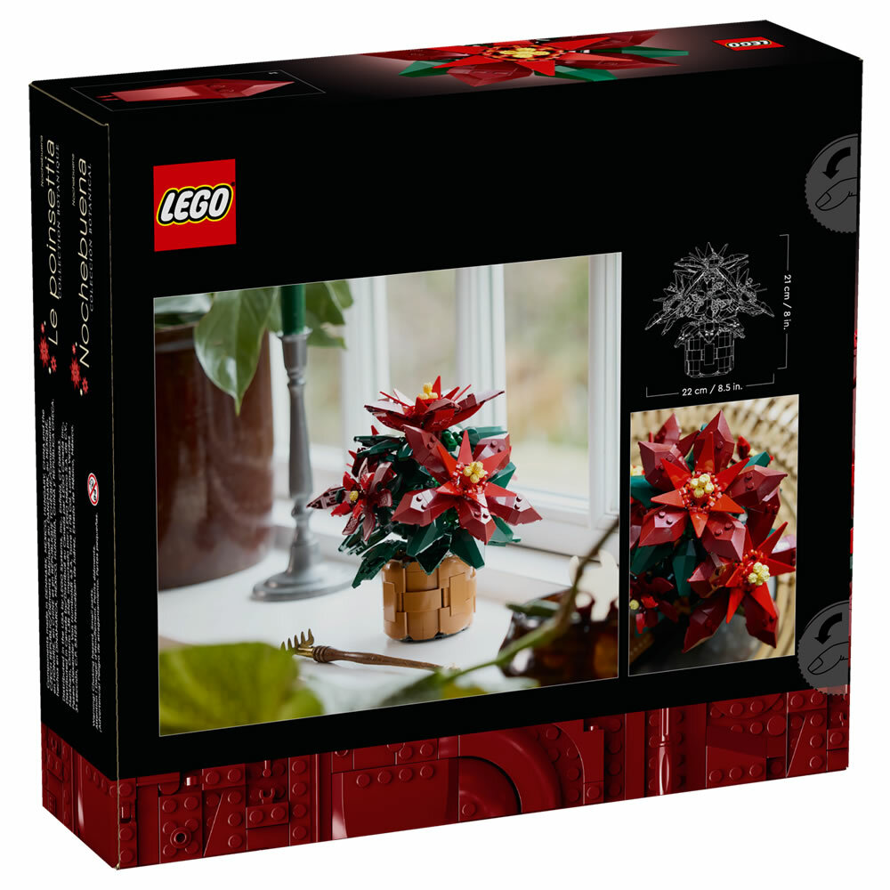 LEGO 10370 樂高積木10370 - 聖誕紅