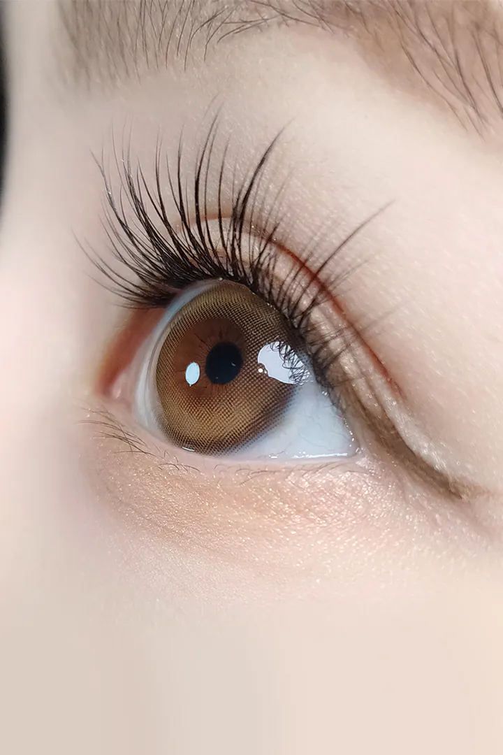 [月拋] Ann365 Ruddy Series 1 Month Brown｜彩妝隱形眼鏡｜每盒2片