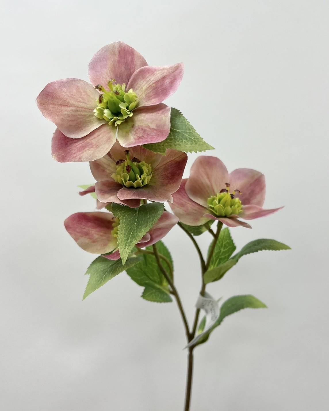 日本擬真花 聖誕薔薇 FM261系列