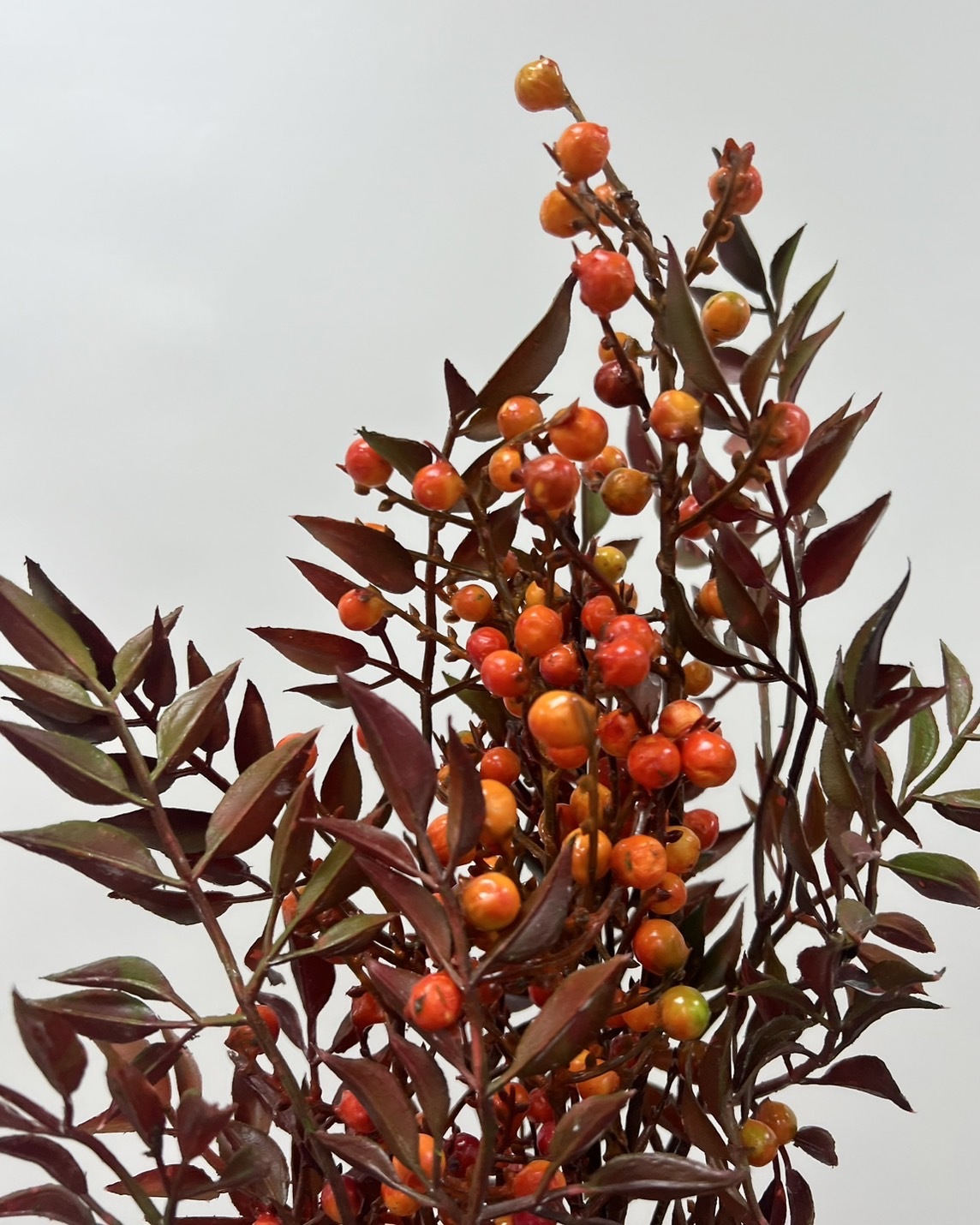 日本擬真花 南天竹 FM7010系列