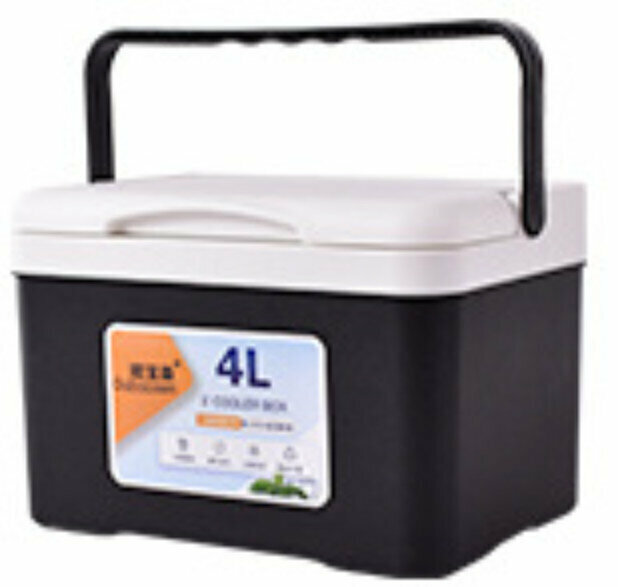 新款露營保溫箱【4升】【顏色隨機】