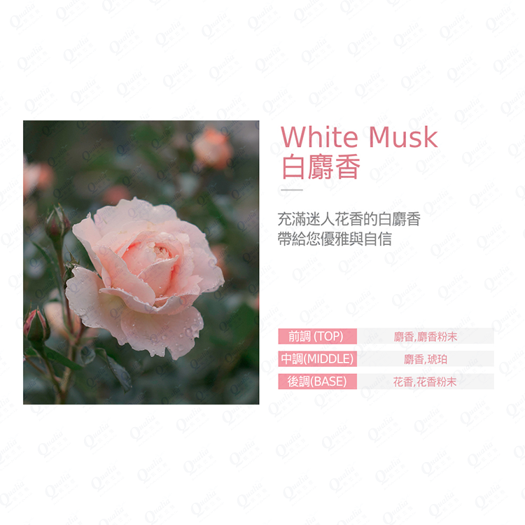 璞珈妮 身體香氛禮盒組 (沐浴露520ml+乳液520ml)【白麝香】-Bouquet Garni