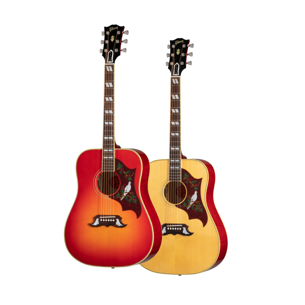 Gibson Gibson / Dove Original 電木吉他 (Antique Natural, Vintage Cherry Sunburst) — 三峽吉他 / Bass