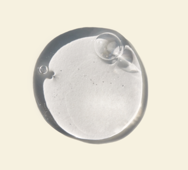 BIBLIAN 經典柔蘊洗髮精500ml (乾性專用)