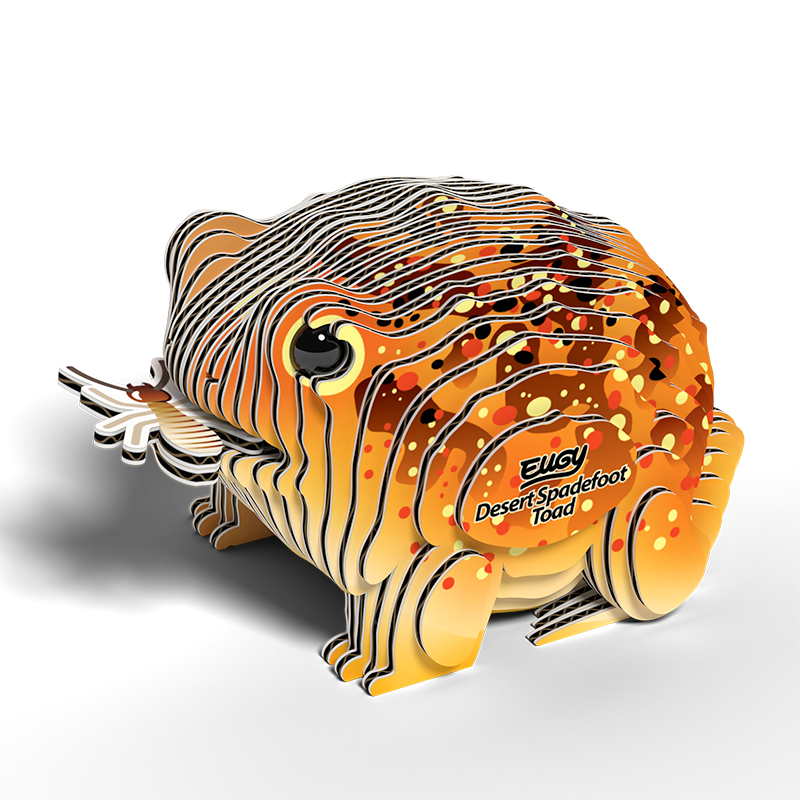 EUGY 3D Cardboard Kit Set Model - 117 Desert Spadefoot Toad