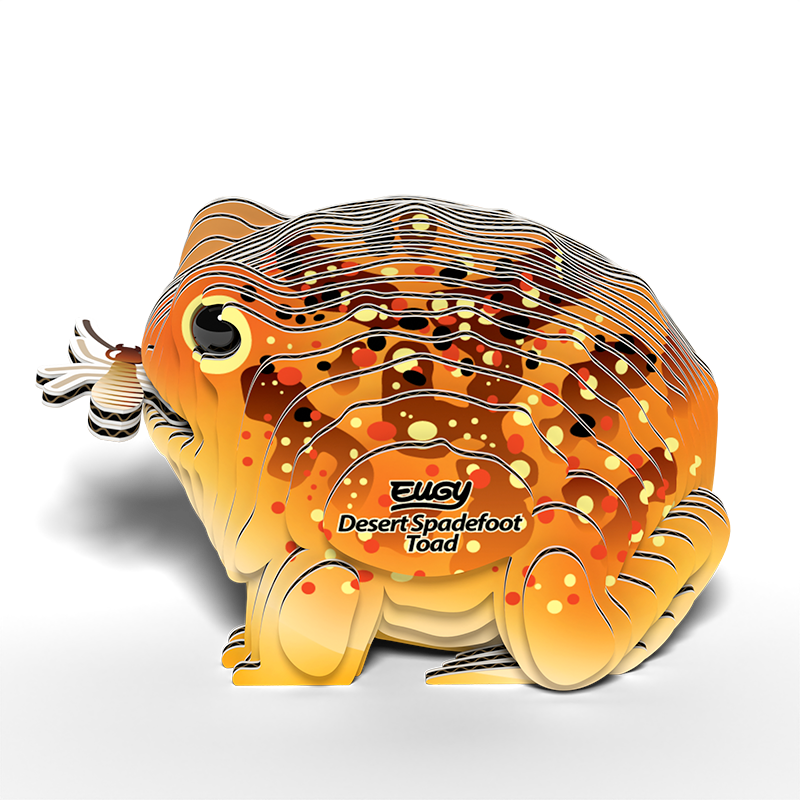 EUGY 3D Cardboard Kit Set Model - 117 Desert Spadefoot Toad
