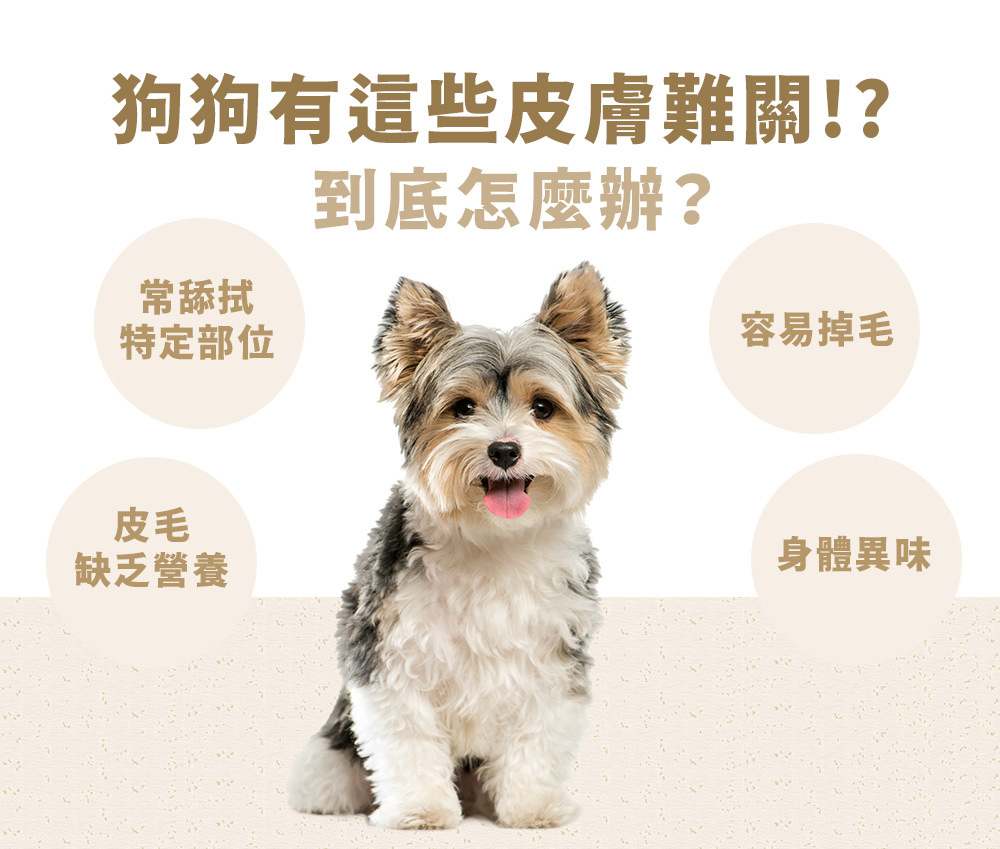 PetWell 沛威｜狗保健-膚健康 輕巧包(5包/袋)