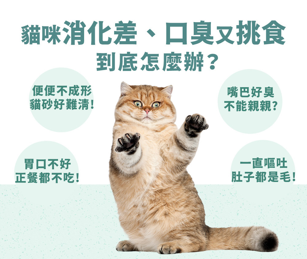 PetWell 沛威｜貓保健-好胃口益生菌 輕巧包(5包/袋)