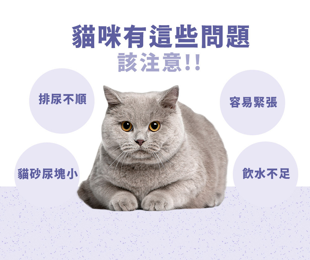 PetWell 沛威｜貓保健-護泌尿 輕巧包(5包/袋)