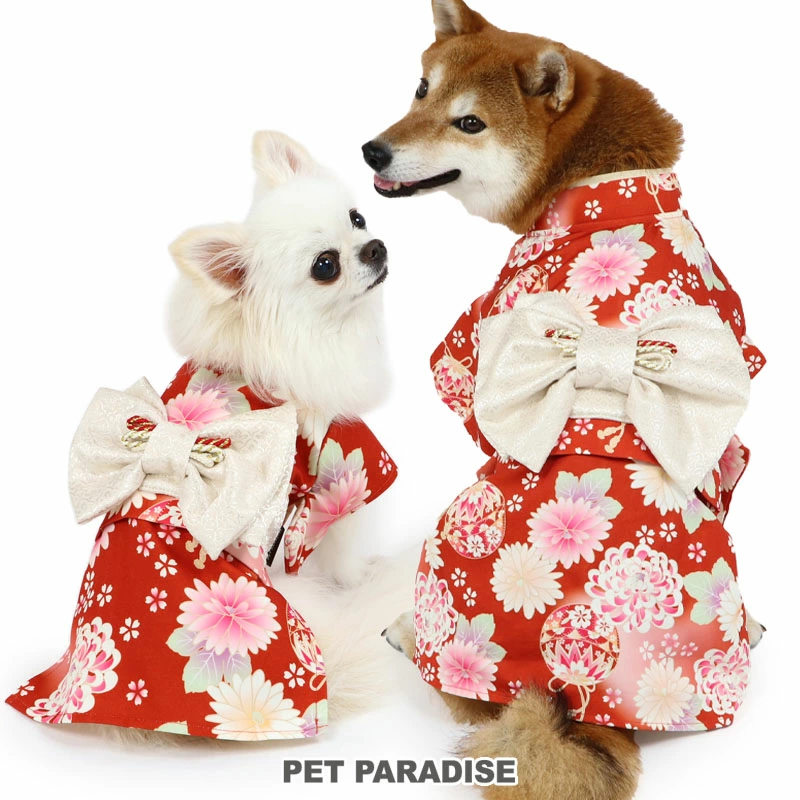 【Pet Paradise】Temari & Chrysanthemum Kimono <687-29594>