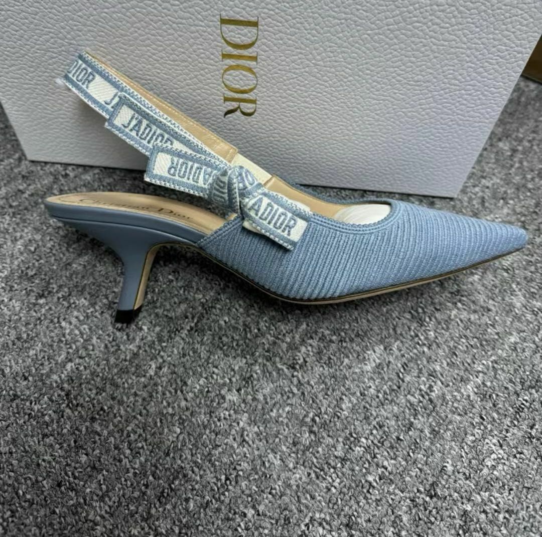 DIOR 藍色尖頭低跟鞋 -M