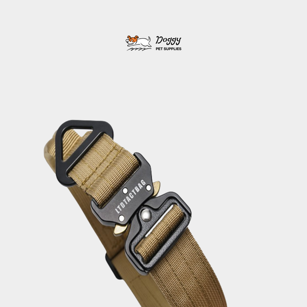 【 OneTigris 】戰術狗項圈