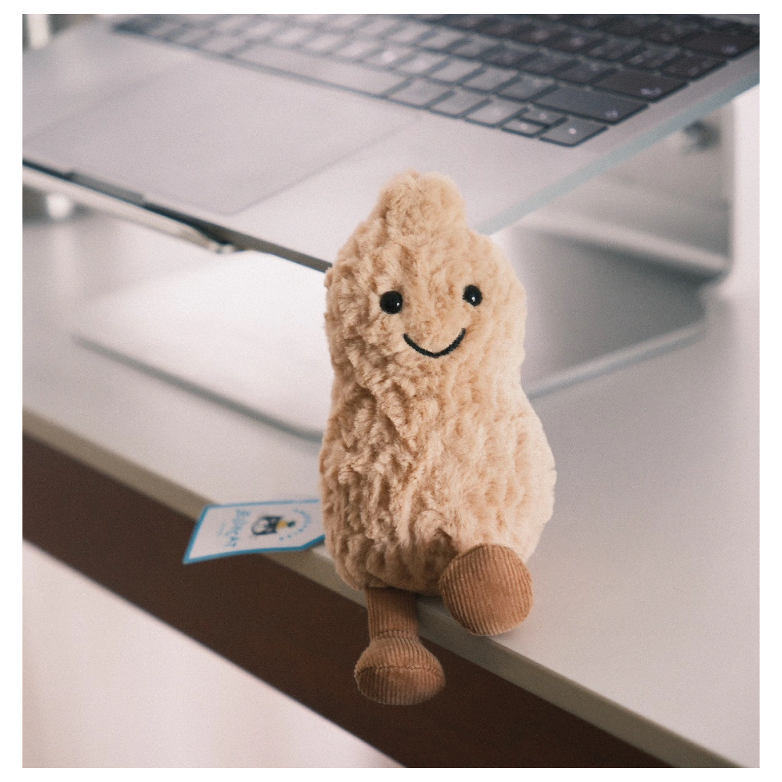 [預訂] Jellycat Amuseables Peanut