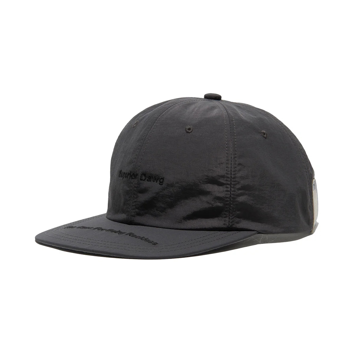 THE H.W. DOG & CO. DAWG LOGO SHALLOW CAP
