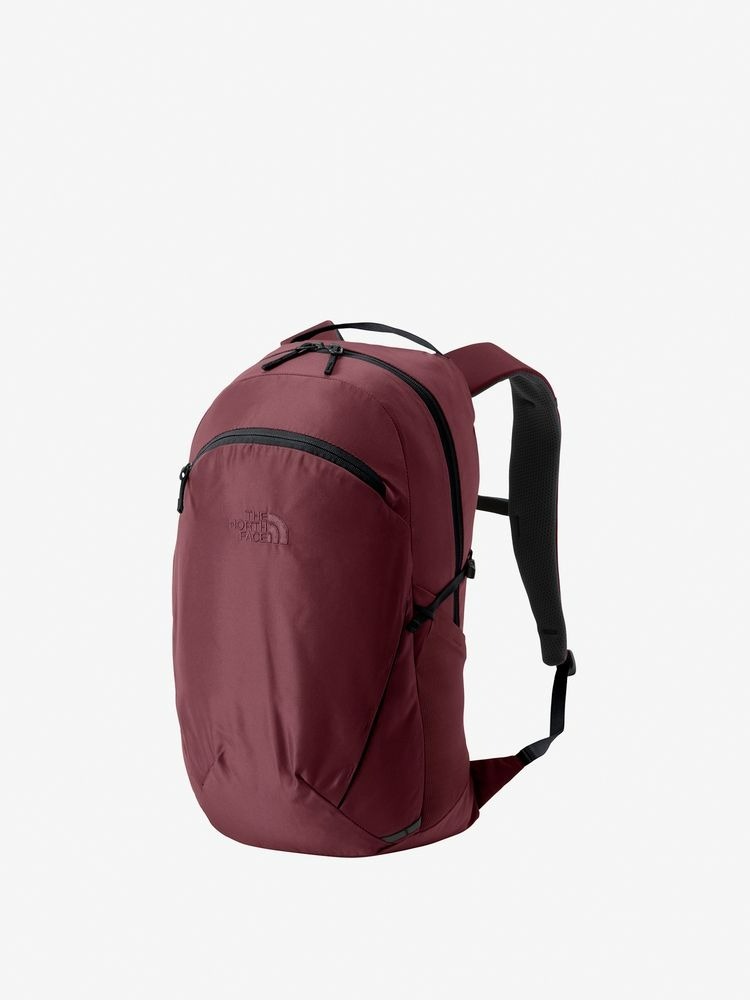 預購┃日本 THE NORTH FACE GEMINI 22 尼龍 後背包 22L NM72351