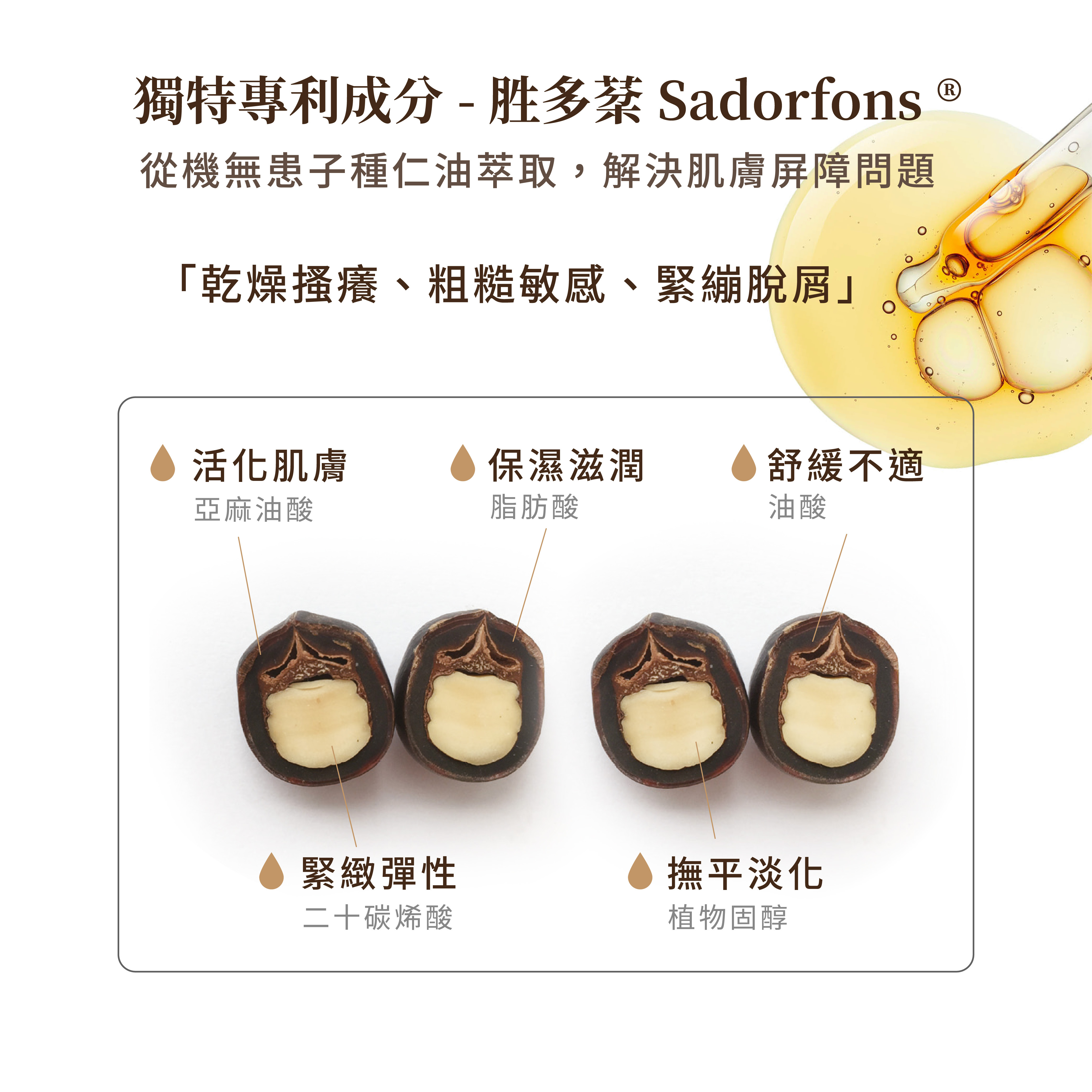 獨特專利成分-胜多棻 Sadorfons ® 從有機無患子種仁油萃取 解決肌膚屏障問題