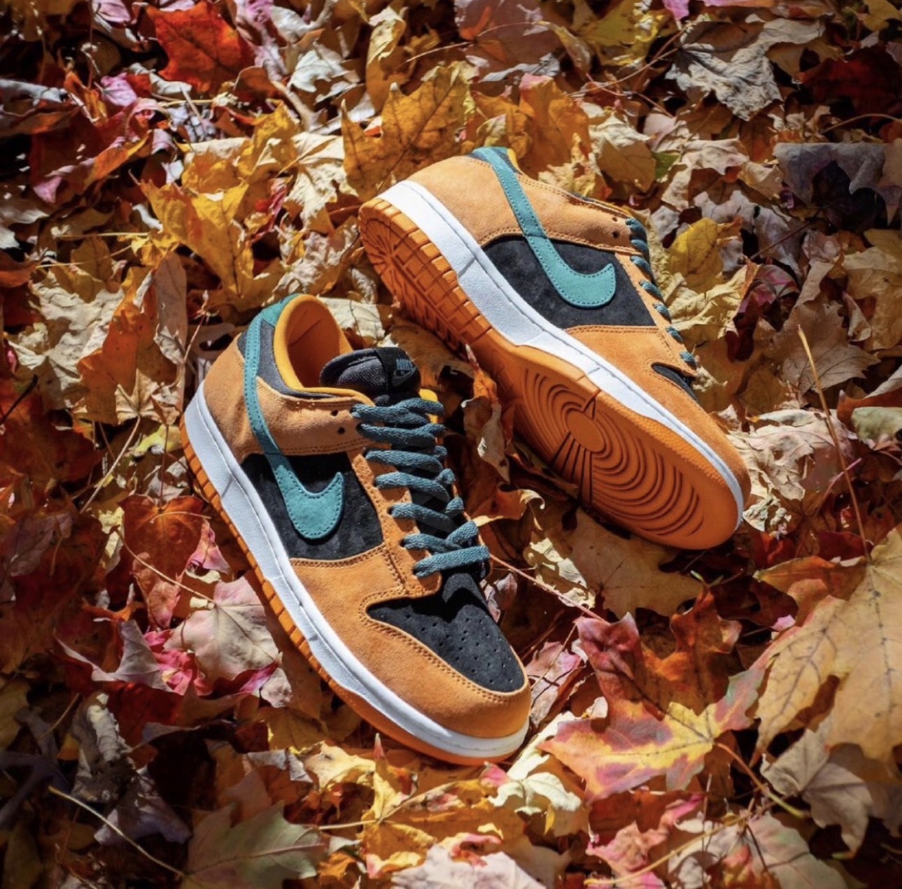 預購 NIKE DUNK LOW SP Ceramic 醜小鴨 黑橘南瓜