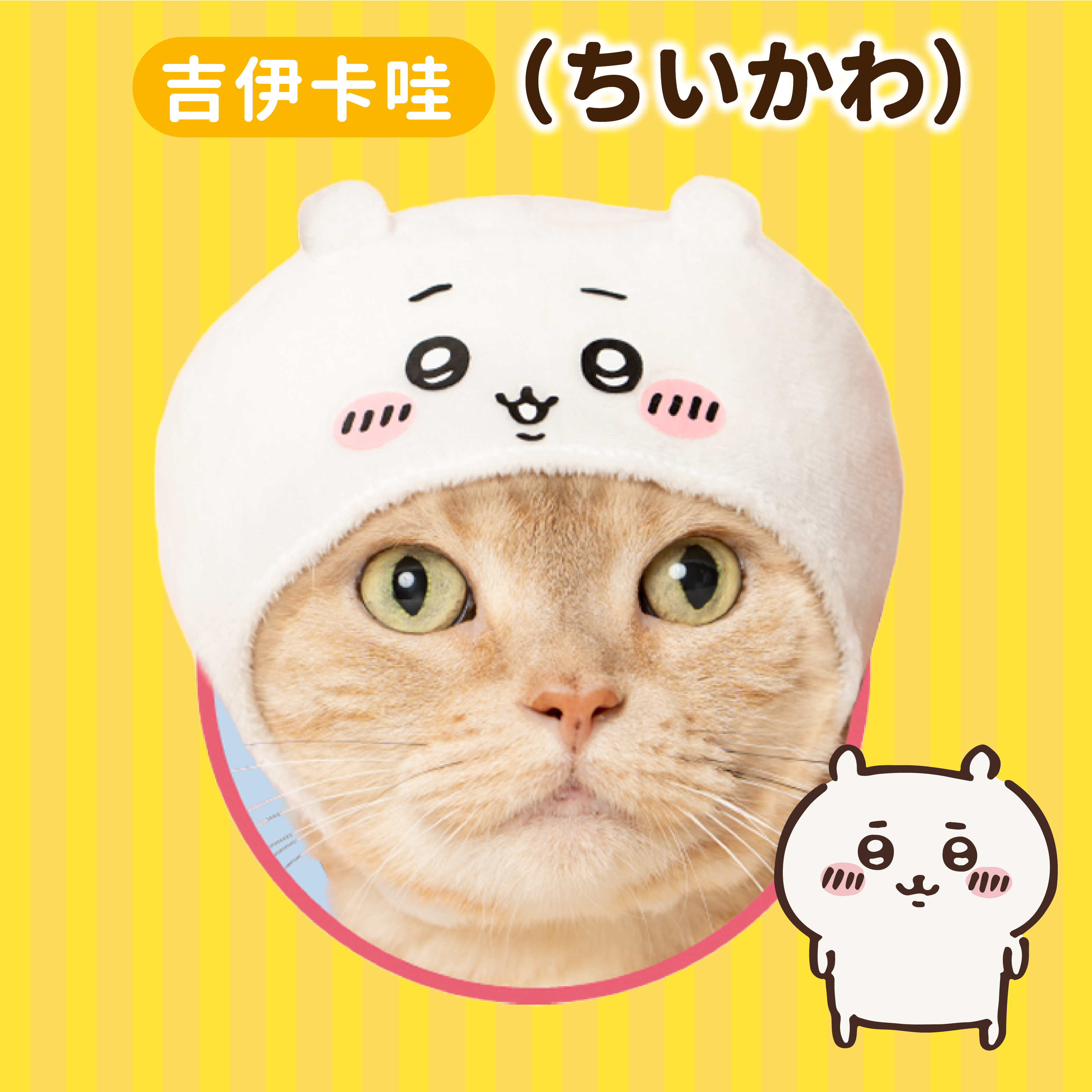 日本 Chiikawa｜吉伊卡哇（ちいかわ ) 貓貓頭套
