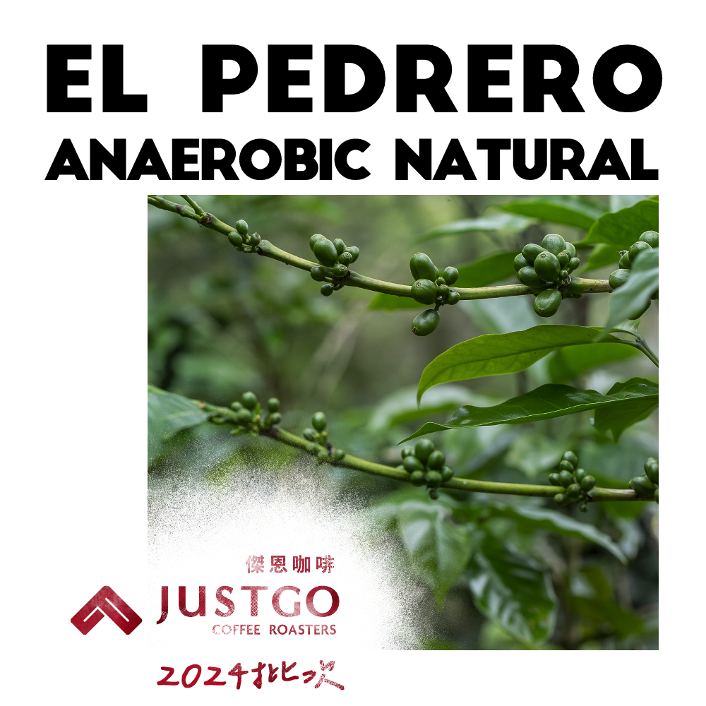 [生豆] No.197 宏都拉斯 石匠莊園 厭氧日曬