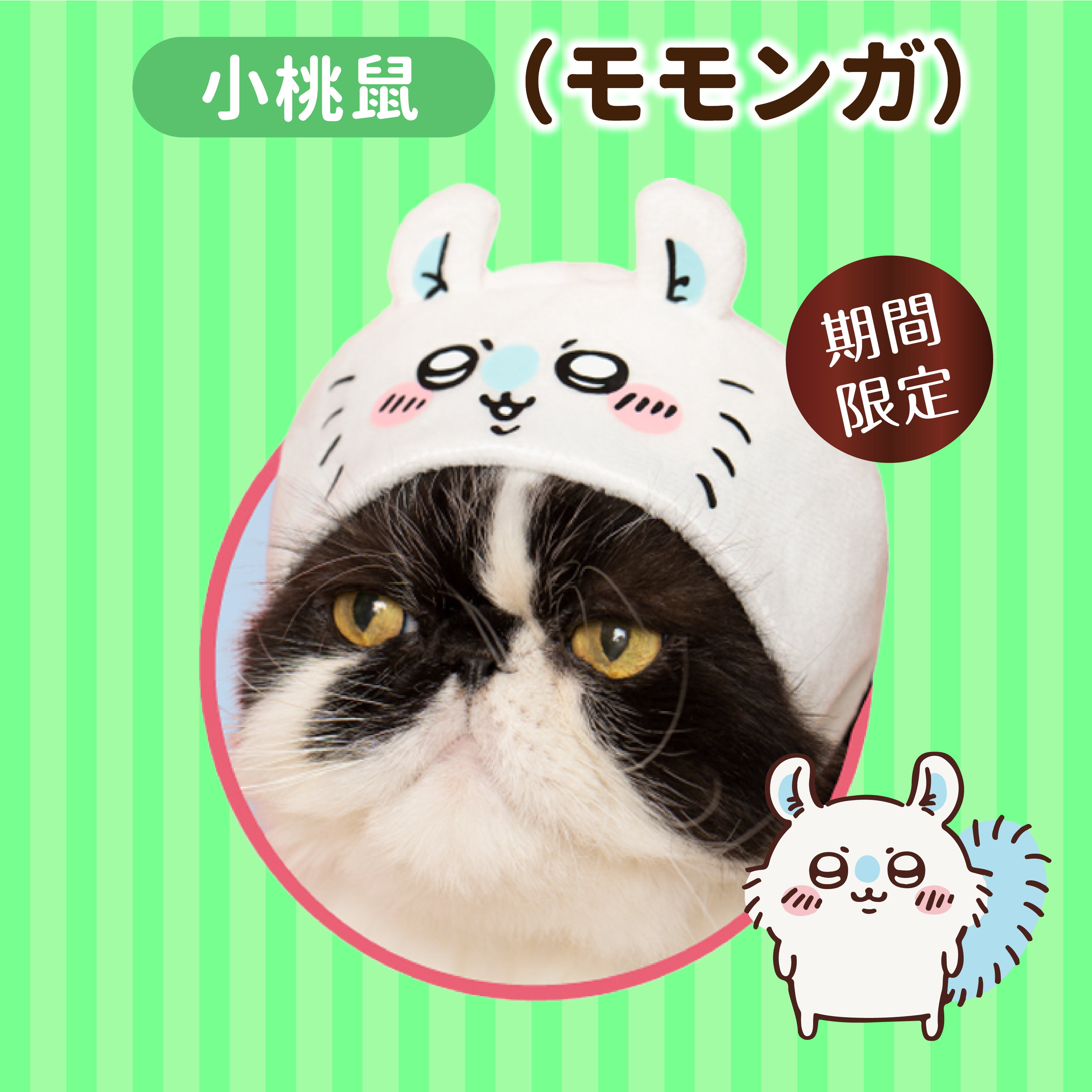 日本 Chiikawa｜飛小桃鼠 (モモンガ) 貓貓頭套
