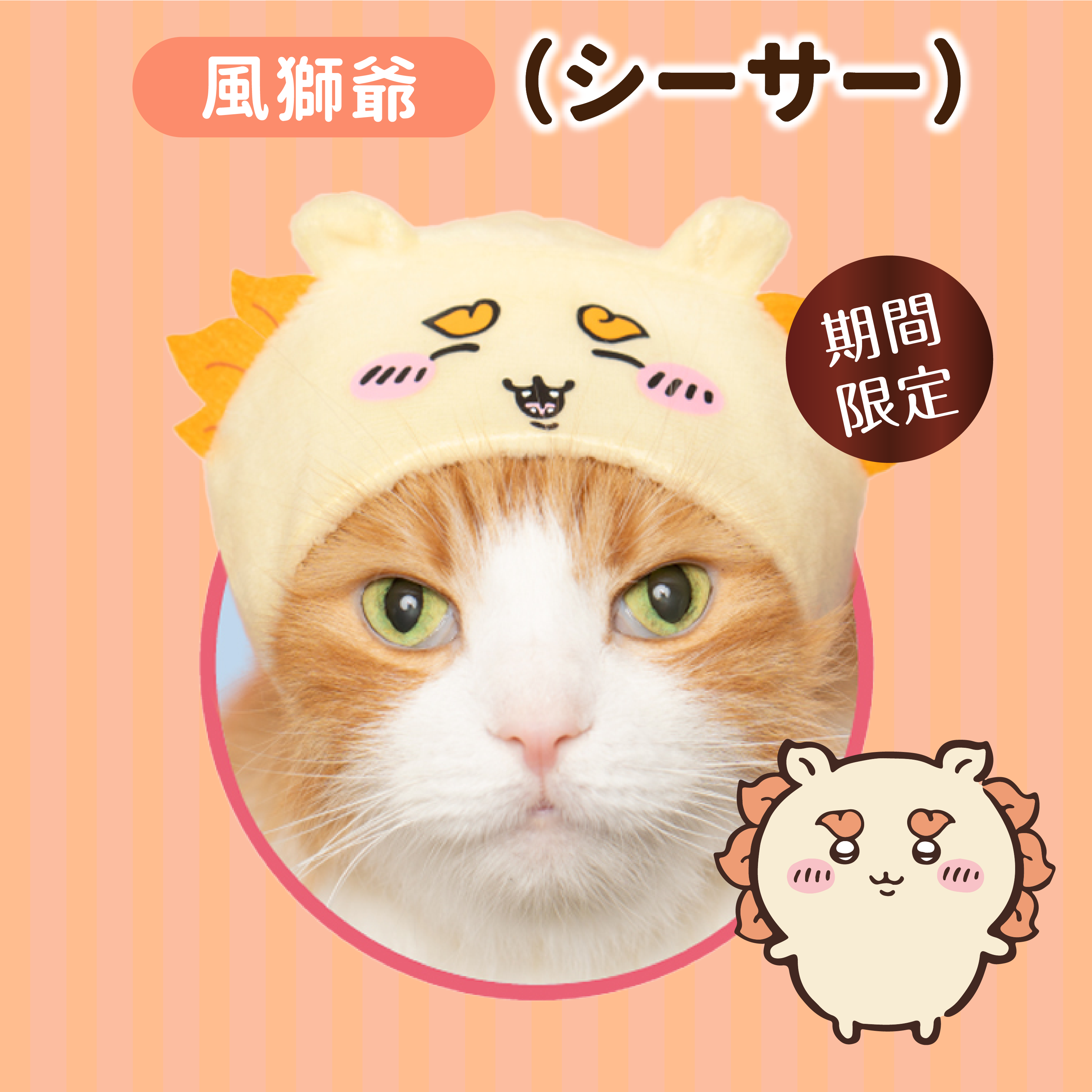 日本 Chiikawa｜風獅爺 (シーサー) 貓貓頭套
