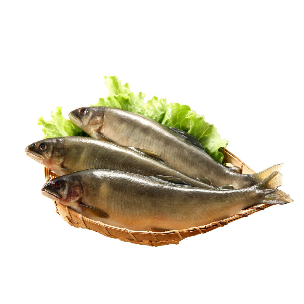 【上億嚴選】宜蘭雪山泉水養殖爆卵母香魚8P/盒