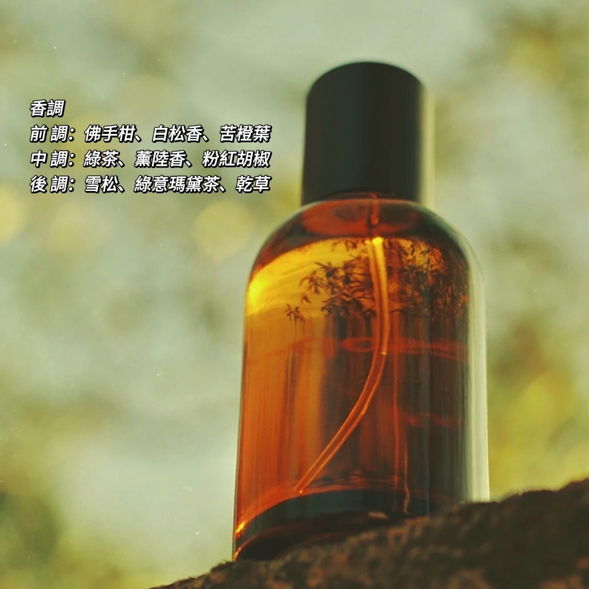 Aesop Virère 香水 エレミア オードパルファム／Aesop（香水） | カテゴリ,香水