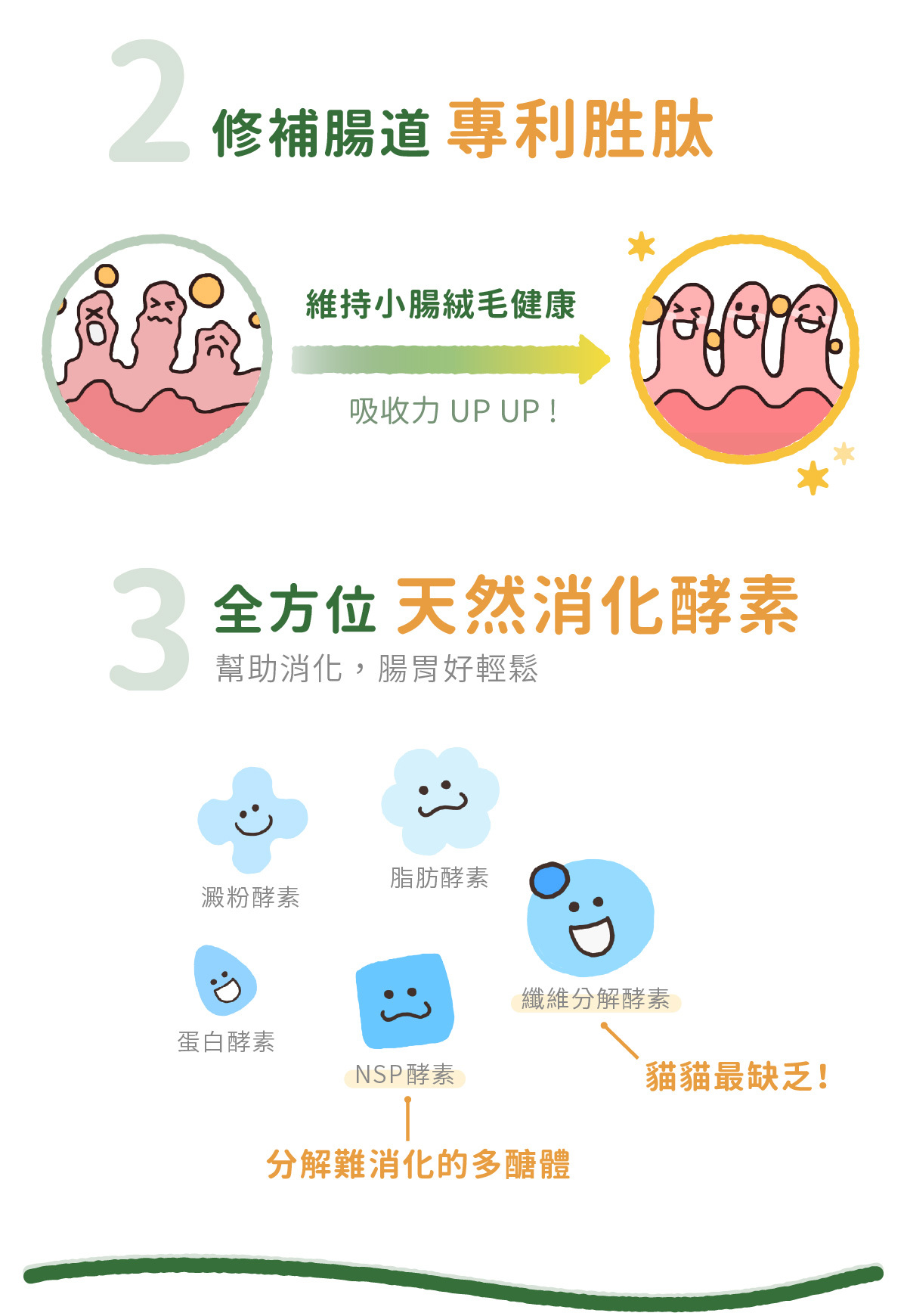 專利胜肽 維持小腸絨毛健康 吸收力UP UP! 全方位 天然消化酵素 幫助消化,腸胃好輕鬆 澱粉酵素 脂肪酵素 蛋白酵素 NSP酵素 分解難消化的多醣體 貓貓最缺乏!
