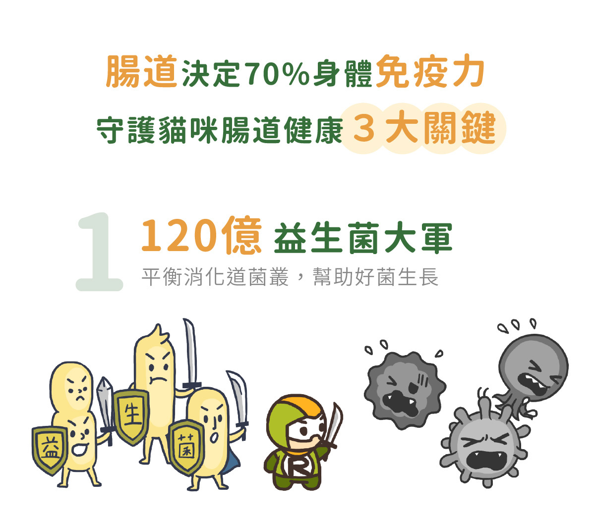 腸道決定70%身體免疫力 守護貓咪腸道健康3大關鍵 120億益生菌大軍 平衡消化道菌叢,幫助好菌生長
