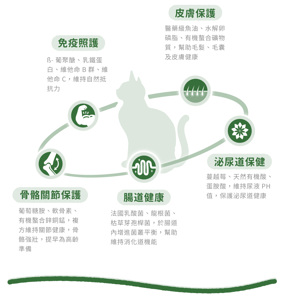 免疫照護 ß-葡聚醣、乳鐵蛋 白、維他命B群 皮膚保護 醫藥級魚油、水解 卵磷脂 骨骼關節保護 葡萄糖胺、軟骨素、 有機複合鈣鋅 腸道健康 法國乳酸菌、龍根菌、 乾草芽孢桿菌 泌尿道保健 蔓越莓、天然有機酸、 蛋胱胺酸