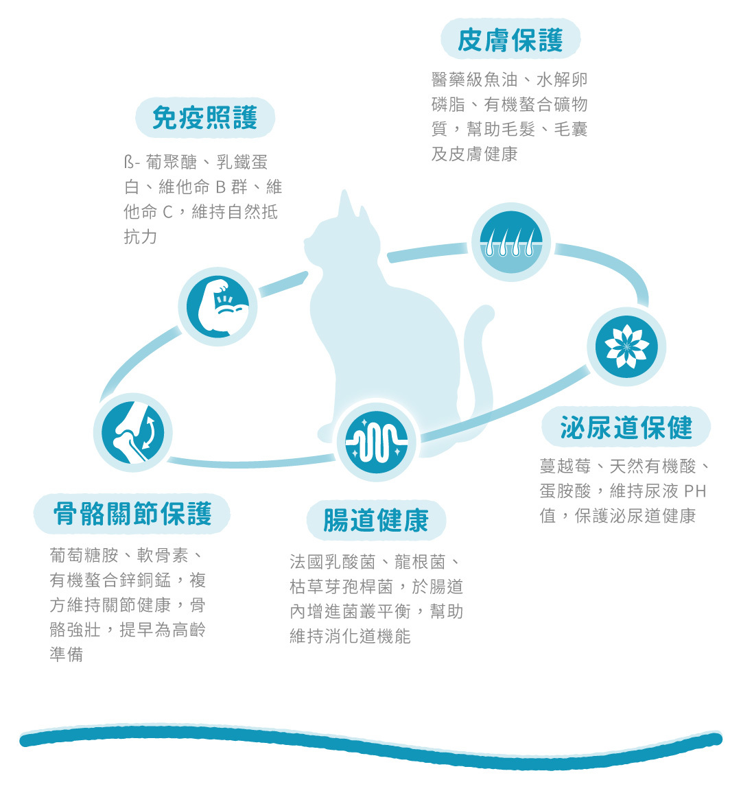 免疫照護 ß-葡聚醣、乳鐵蛋 白、維他命B群 皮膚保護 醫藥級魚油、水解 卵磷脂 骨骼關節保護 葡萄糖胺、軟骨素、 有機複合鈣鋅 腸道健康 法國乳酸菌、龍根菌、 乾草芽孢桿菌 泌尿道保健 蔓越莓、天然有機酸、 蛋胱胺酸
