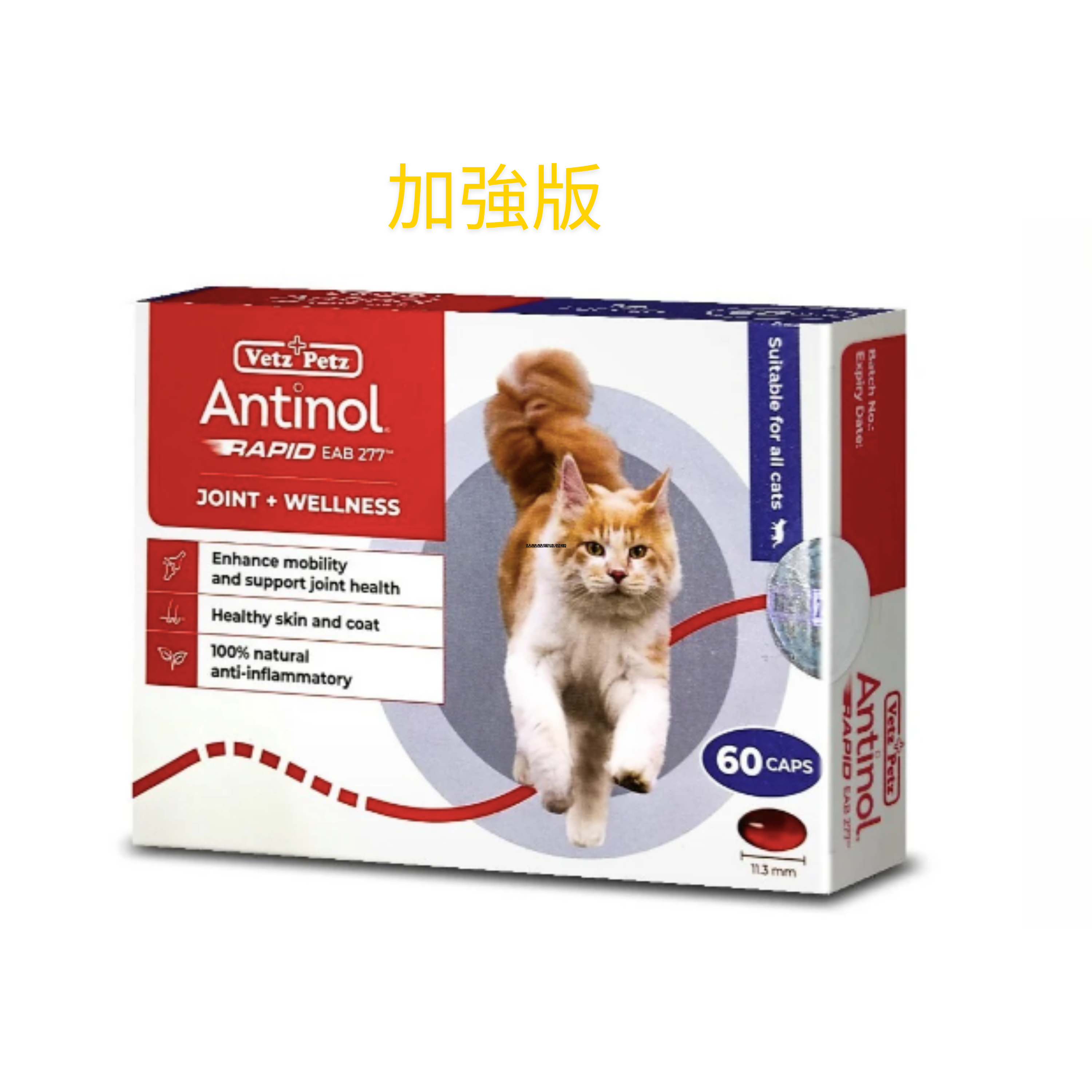 Antinol 貓用關節膠囊 (貓用)