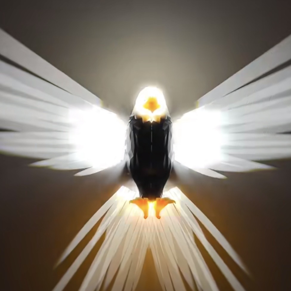 白頭老鷹 氛圍 磁吸 壁燈 夜燈