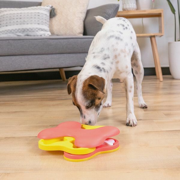 狗狗益智漏食玩具 - 狗旋風 (簡約版)