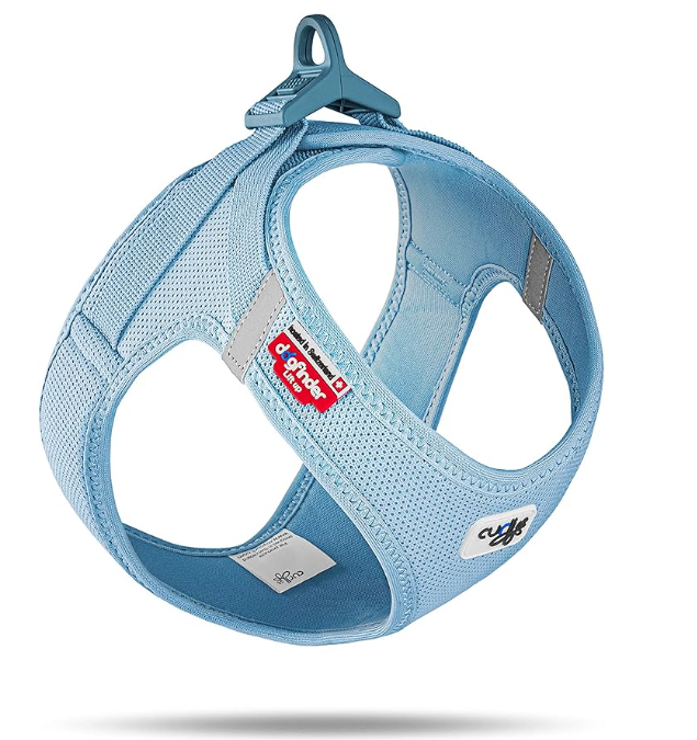 Curli 3D緊貼 超輕量透氣胸帶 天藍色 (XS / S / M / L / XL)