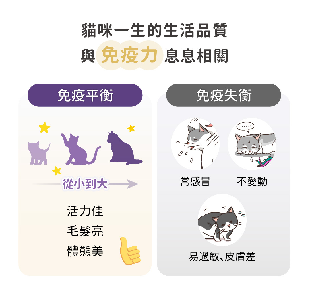 貓咪生活品質與免疫力密切相關。保持免疫平衡,從幼貓至成貓,維持活力佳、毛髮亮麗及體態美。免疫失衡可能導致常感冒、不愛活動及易過敏皮膚問題。